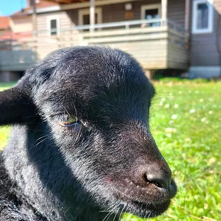 Διαμέρισμα Aux Lauriers Sur Meuse Lacroix-sur-Meuse