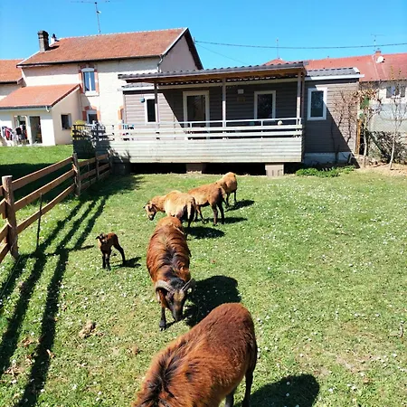 Aux Lauriers Sur Meuse Apartament *