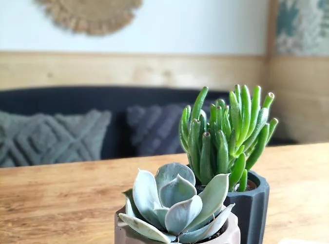 Aux Lauriers Sur Meuse Apartament Lacroix-sur-Meuse