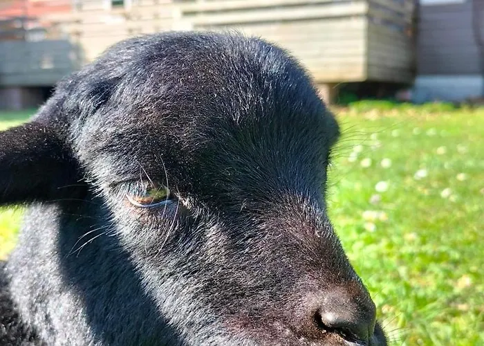 Apartmán Aux Lauriers Sur Meuse Lacroix-sur-Meuse