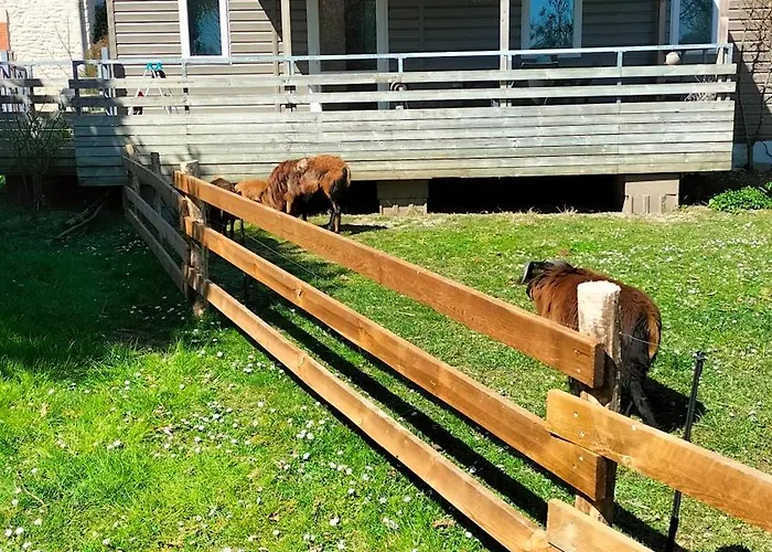 Apartment Aux Lauriers Sur Meuse