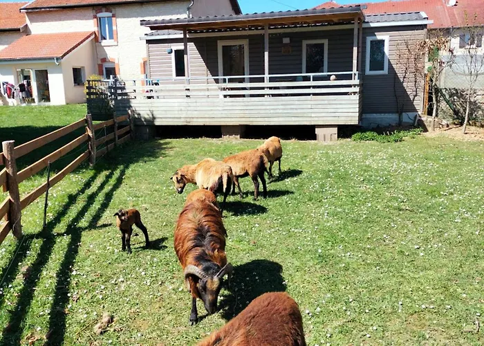 Aux Lauriers Sur Meuse Apartament *